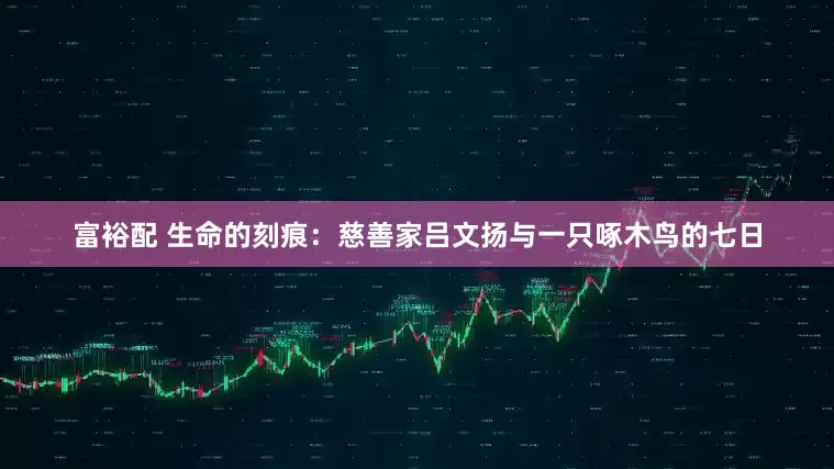 富裕配 生命的刻痕：慈善家吕文扬与一只啄木鸟的七日