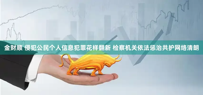 金财顺 侵犯公民个人信息犯罪花样翻新 检察机关依法惩治共护网络清朗